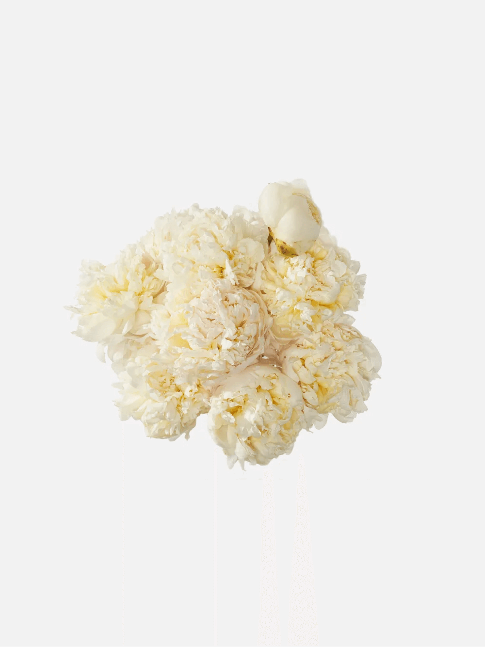 product_floral_1a